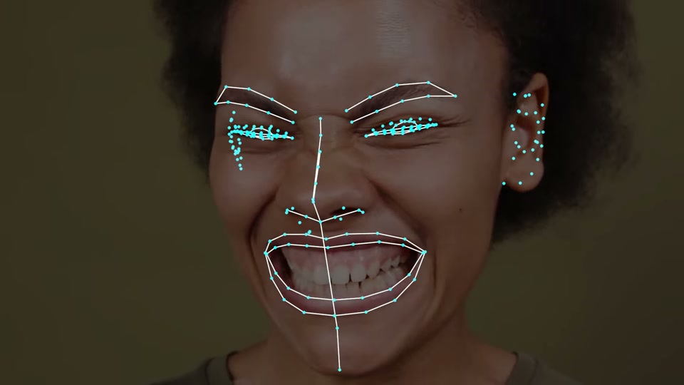 Faces capability demonstration.