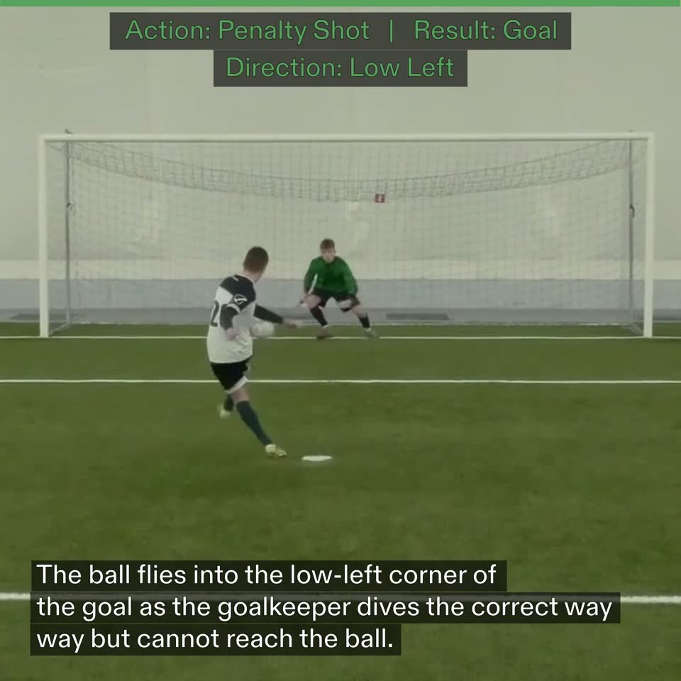 Sports motion analysis preview.
